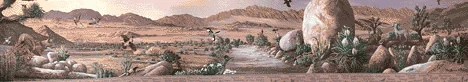 Neighbors in Nature I mural in Twentynine Palms